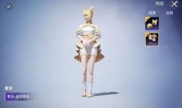 和平最新大转盘爆料,揭秘最新福利与惊喜等你来拿！