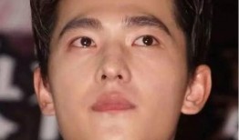 杨洋最新爆料营销号,幕后故事与心路历程大公开！