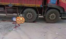 顺德车祸最新爆料,悲剧现场细节曝光，真相渐浮水面